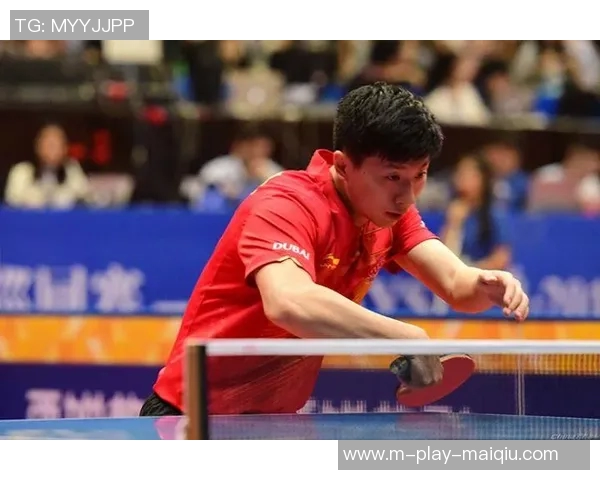 实时新闻深入探讨上海乒乓球队各队员实力对比及未来发展潜力分析